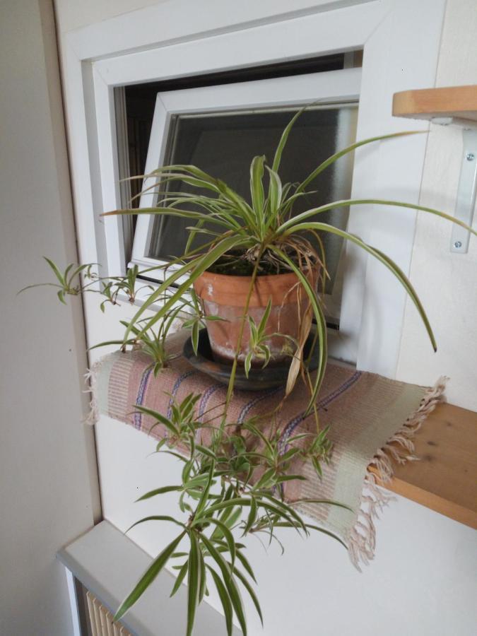 沙特尔Le Morardinet公寓 外观 照片